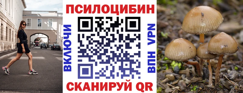 Купить где Арск Псилоцибиновые грибы мицелий